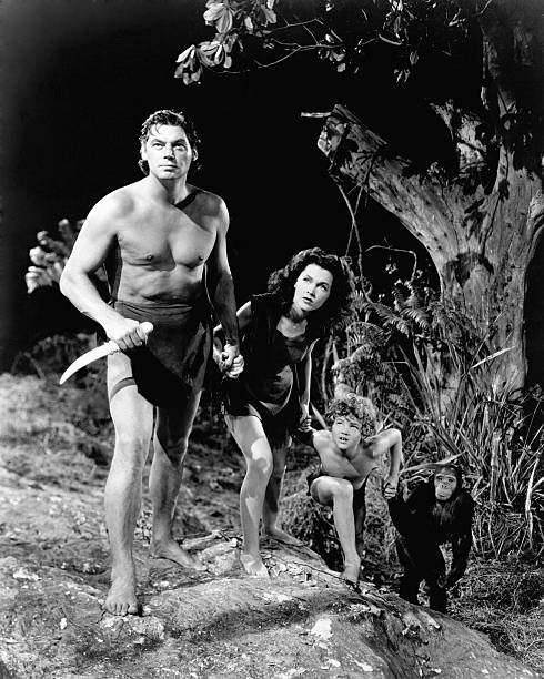 Gallery of Johnny Weissmuller
