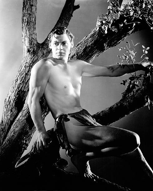 Gallery of Johnny Weissmuller