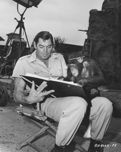Gallery of Johnny Weissmuller