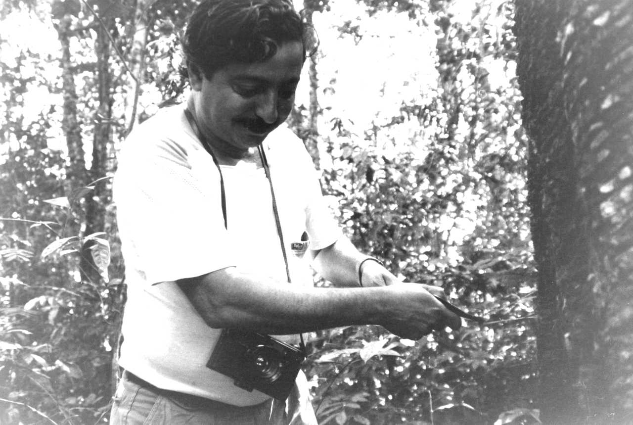 Gallery of Chico Mendes