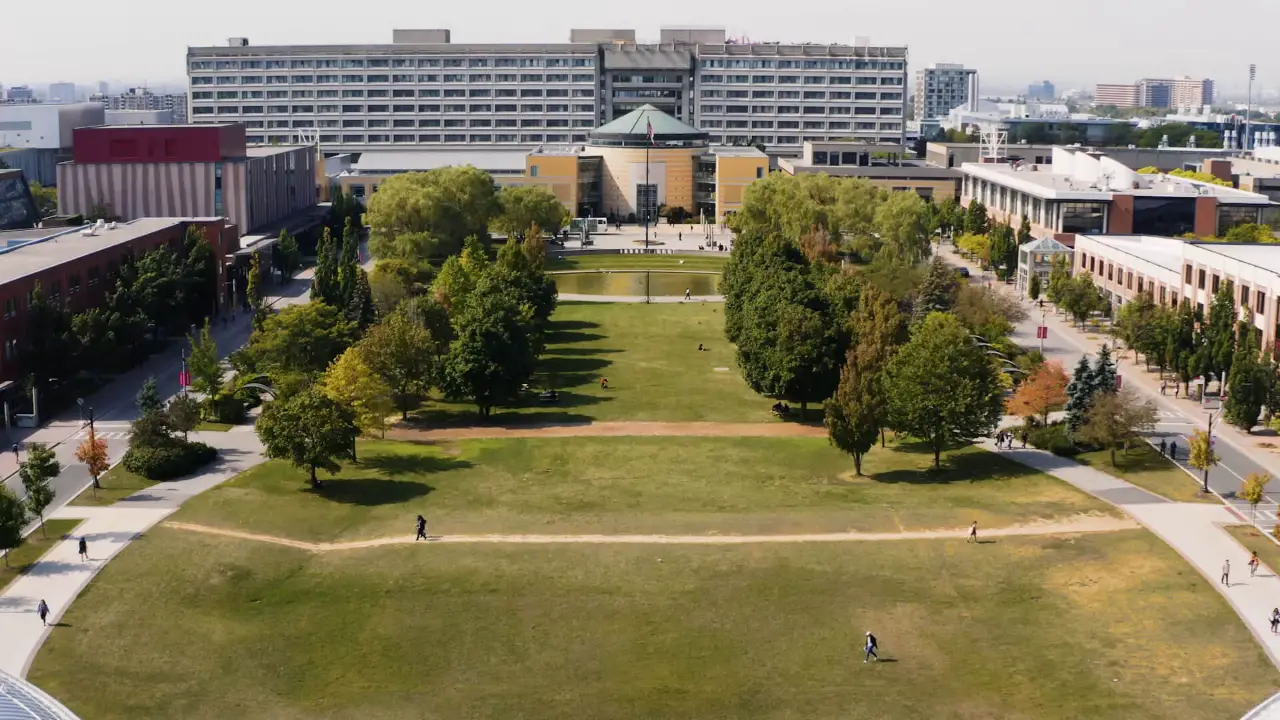 Education period of Mardi Tindal in York University