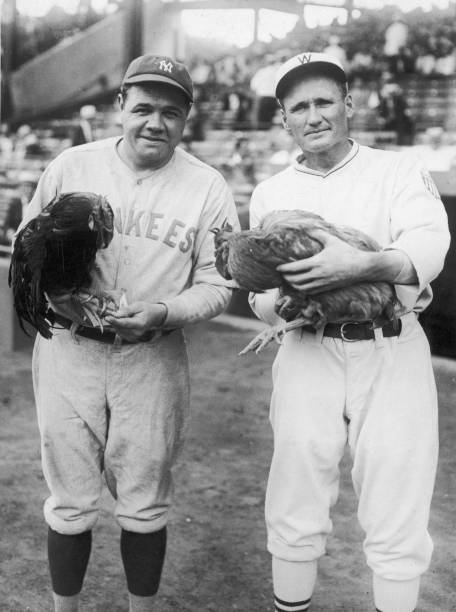 Gallery of Walter Johnson
