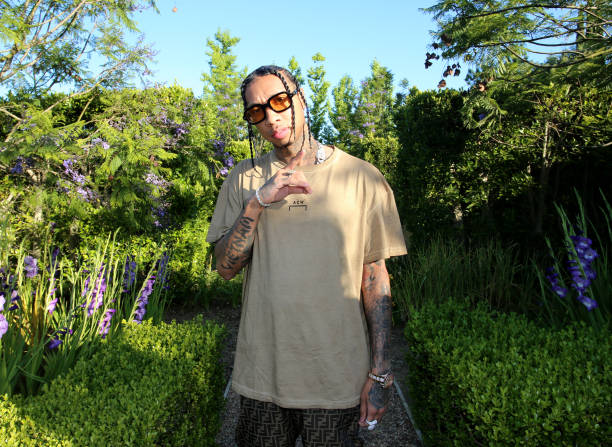 Gallery of Tyga (Michael Nguyen-Stevenson)