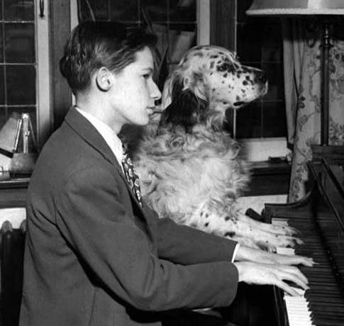 Gallery of Glenn Gould