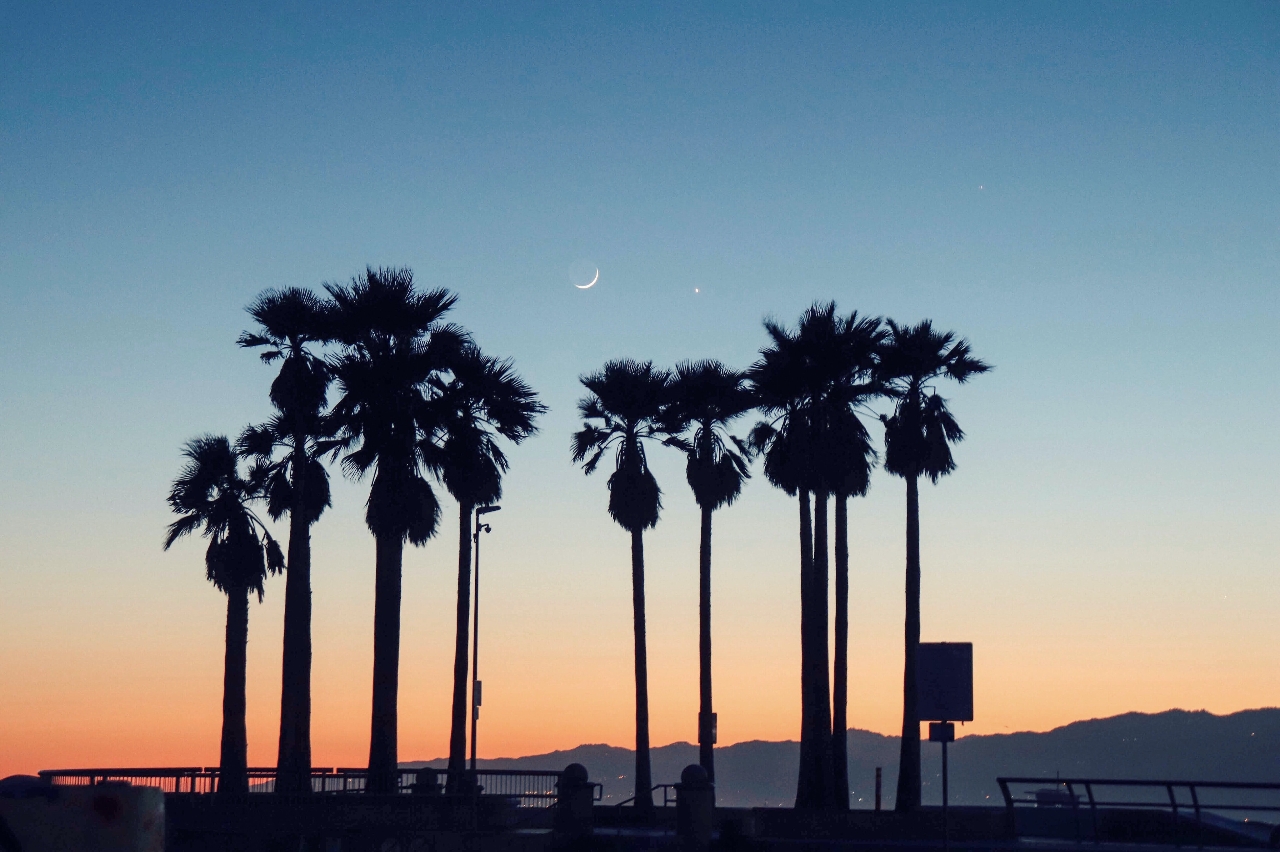Alex Maybery Alex Mayberry (born February 8, 1992), American educator, Photographer ...
