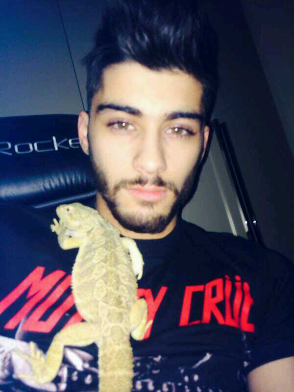 Gallery of Zayn Malik