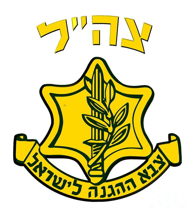 Gallery of Marcel Eliakim