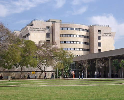 Gallery of Sir Avraham Goldberg