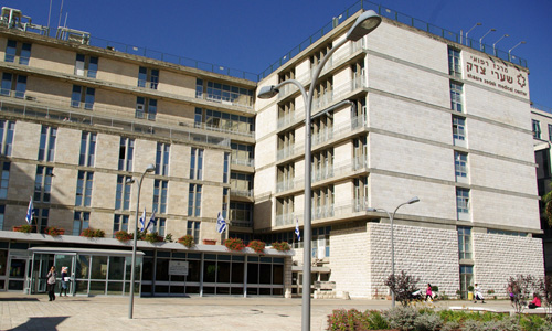 Gallery of Sir Avraham Goldberg