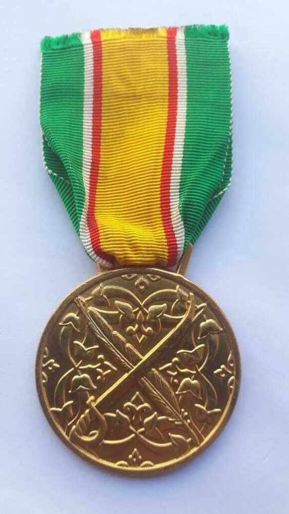 Administrative and Technical Competence Medal
