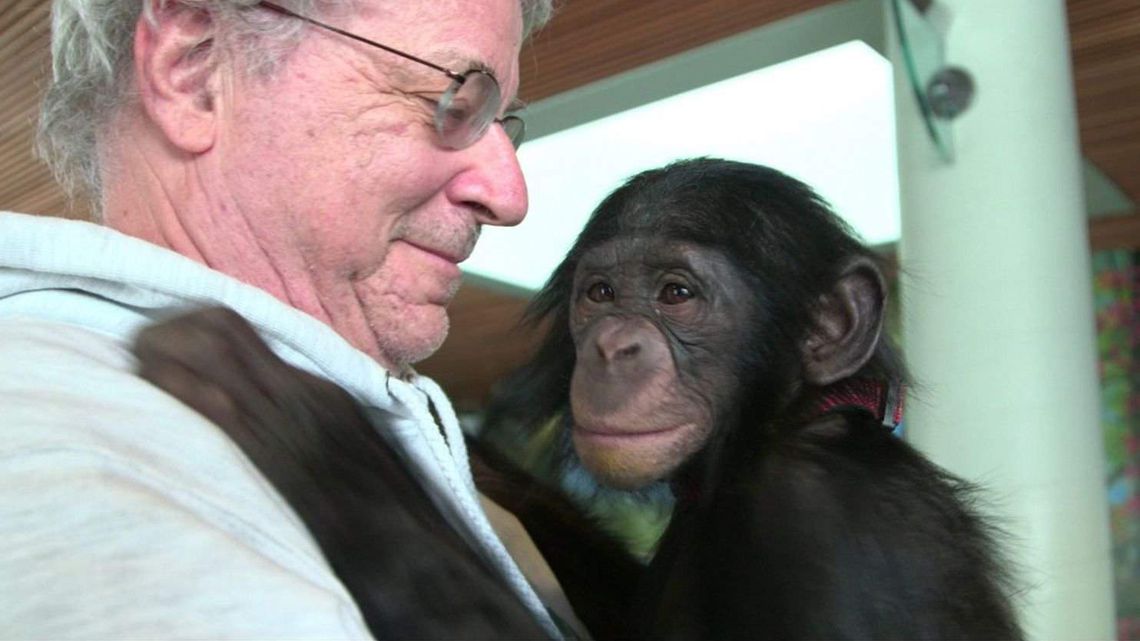 Gallery of Steven Wise