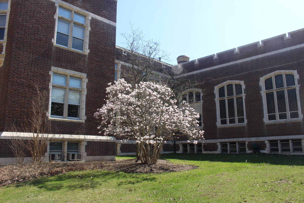 Gallery of Larry J. Halpern
