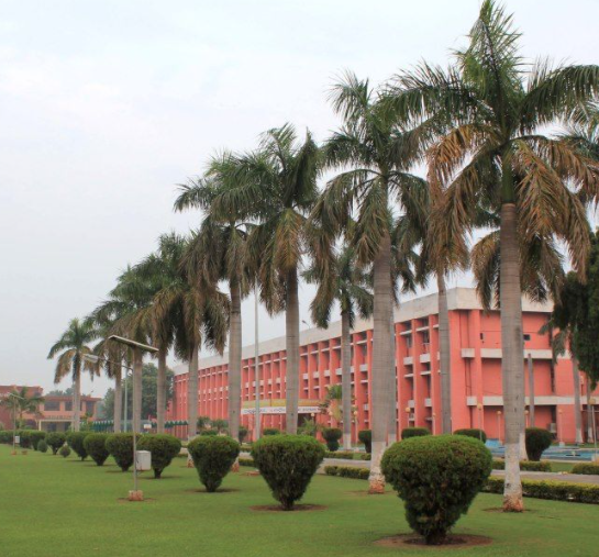 Gallery of Vik Bansal
