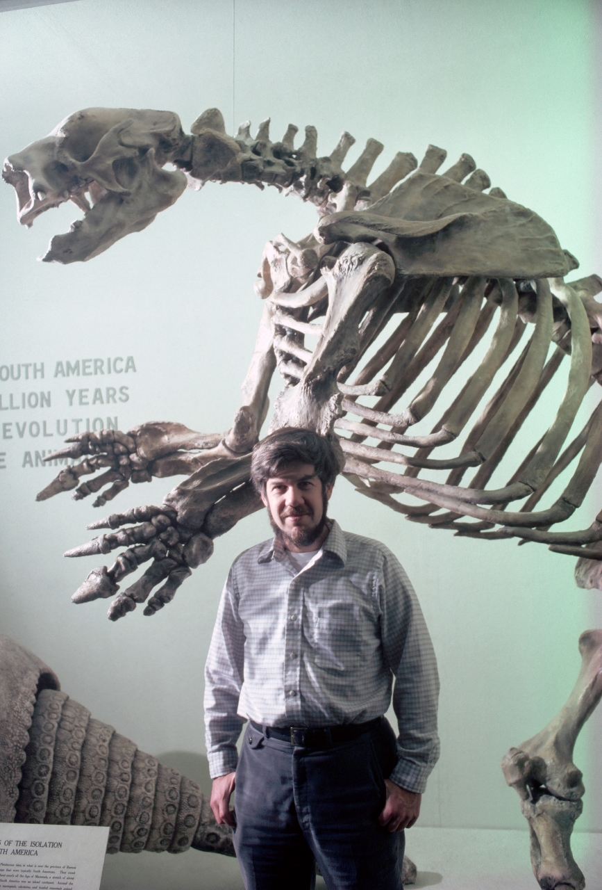 Gallery of Stephen Gould