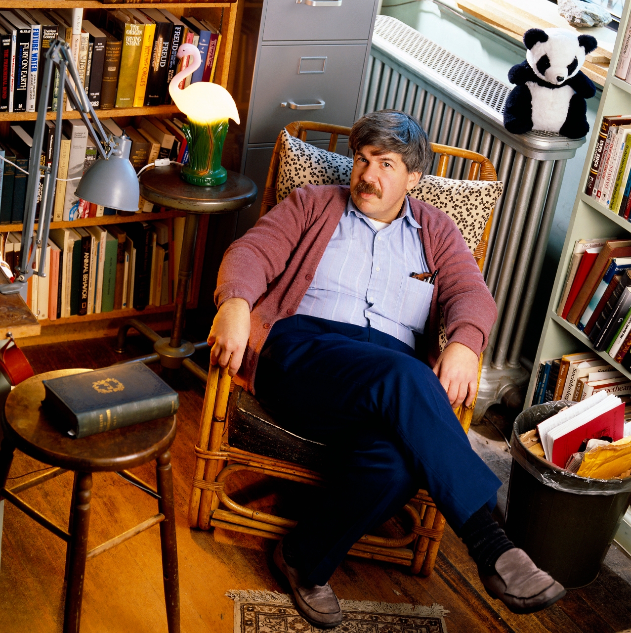 Gallery of Stephen Gould