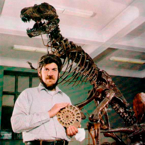 Gallery of Stephen Gould