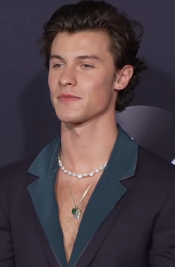 ex-boyfriend: Shawn Mendes