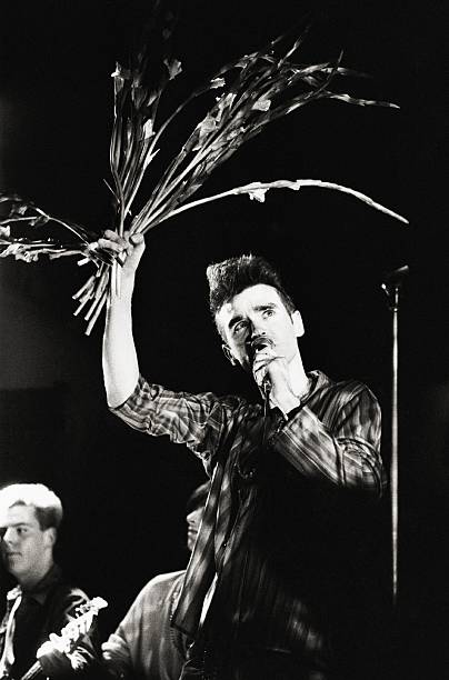 Gallery of Steven Morrissey