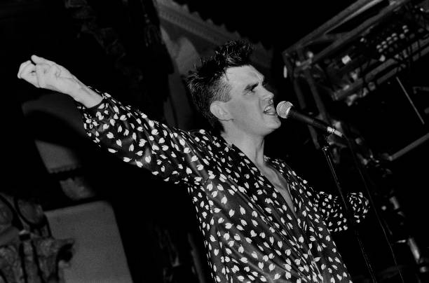 Gallery of Steven Morrissey