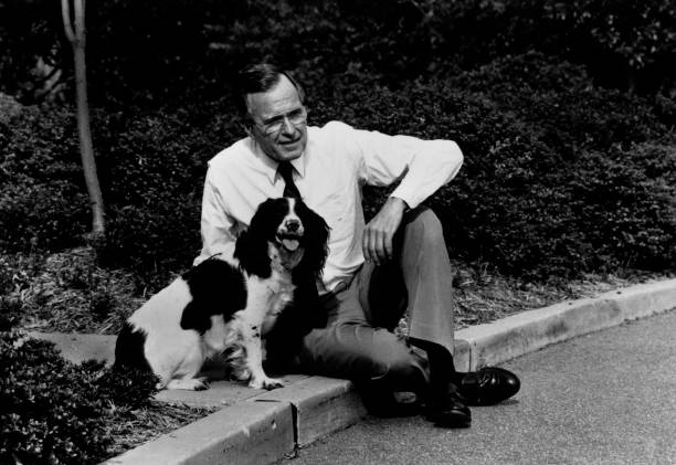 Gallery of George Bush