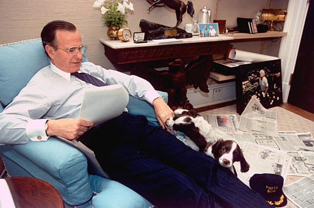 Gallery of George Bush