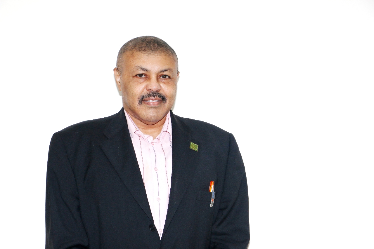 Gallery of Moiz Omer Bakhiet