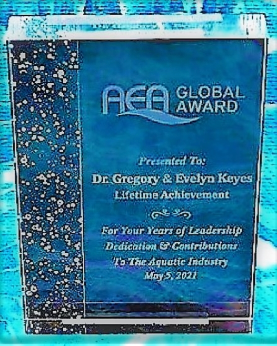 Global Lifetime Achievement Award - 2021