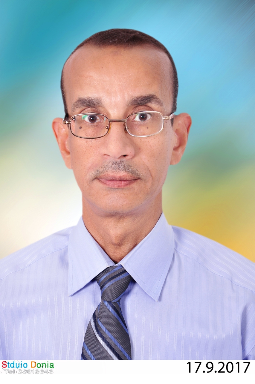 Gamal A. Elmegeed