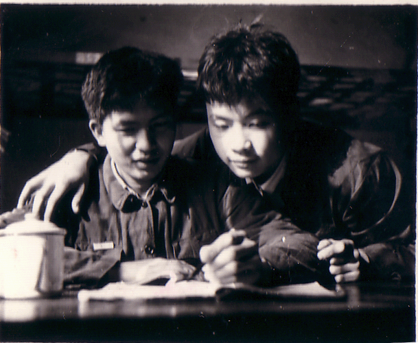 Gallery of Dr. Cheng Luo