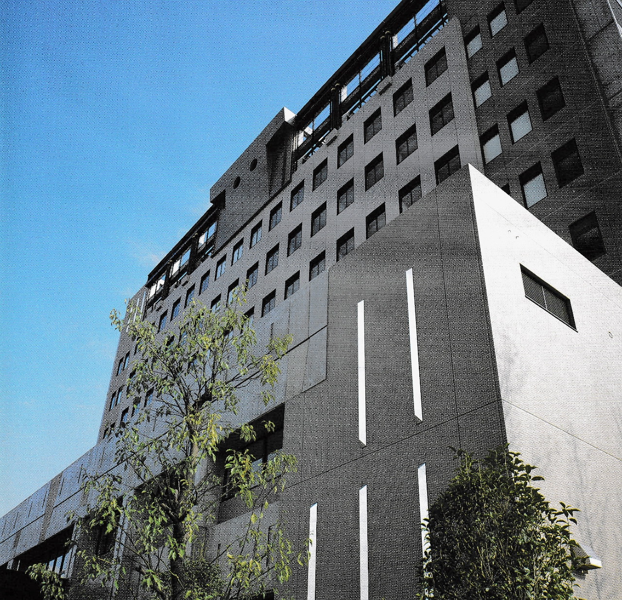 Gallery of Tatsuo Tabata