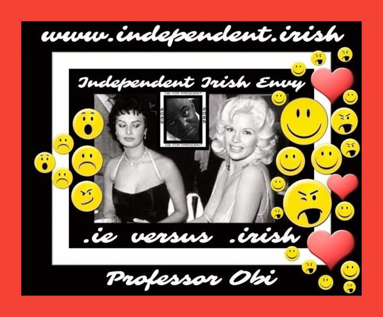Independent Black Irish Politician of the Year (2023 , 2024 , 2025) - Island of Ireland