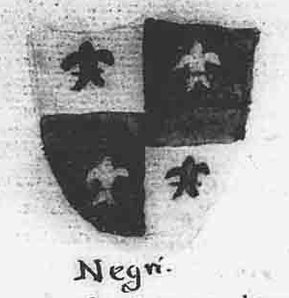 Leonardo Navigajoso