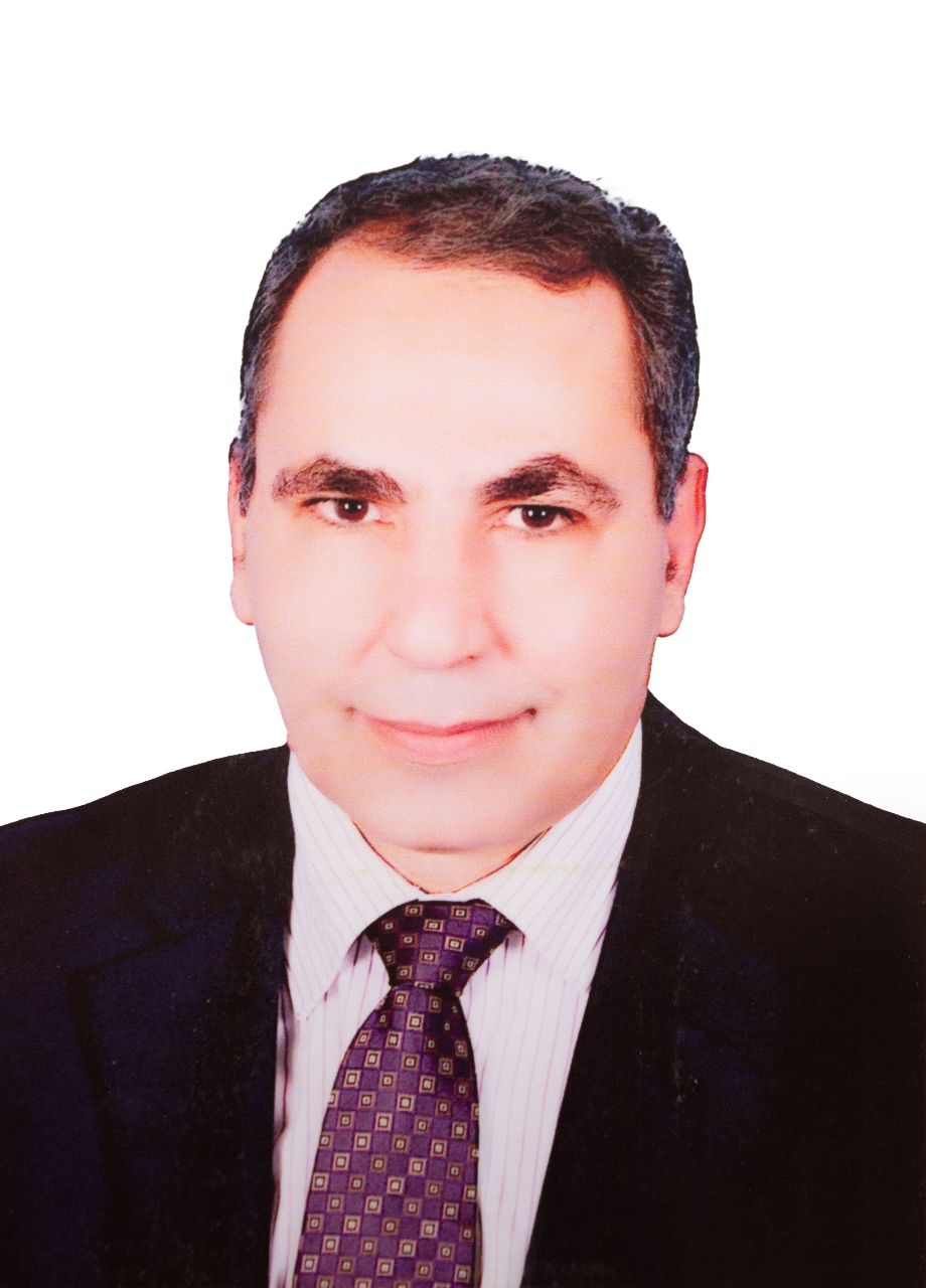 Ibrahim Abdel-Hamid