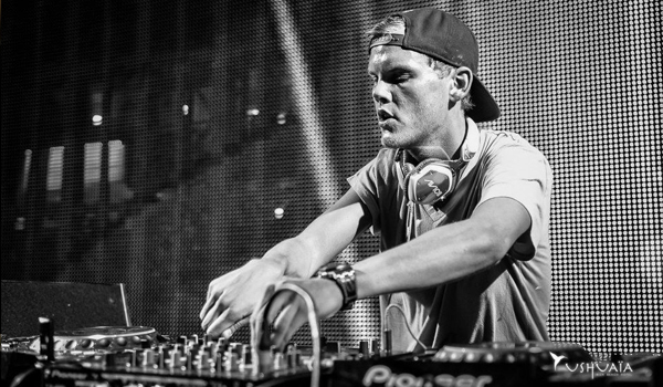 Gallery of Tim Bergling