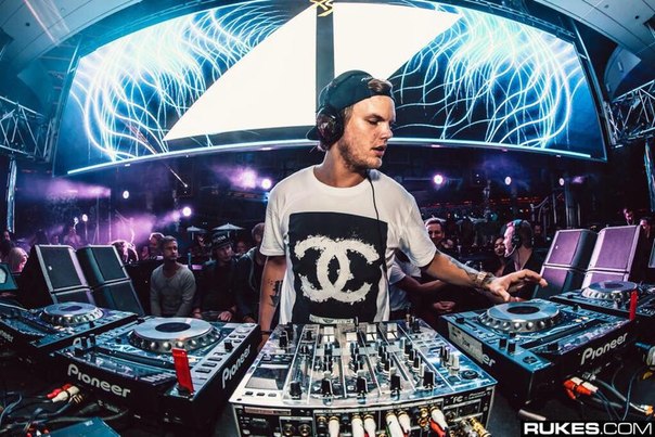 Gallery of Tim Bergling