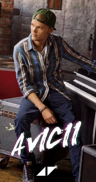Gallery of Tim Bergling