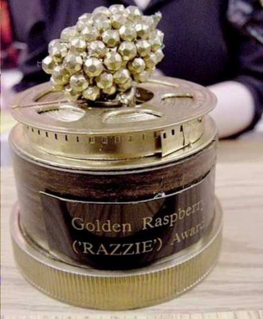 Razzie Award (2010)