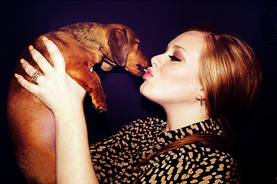 Career period of Adele Laurie Blue Adkins in career