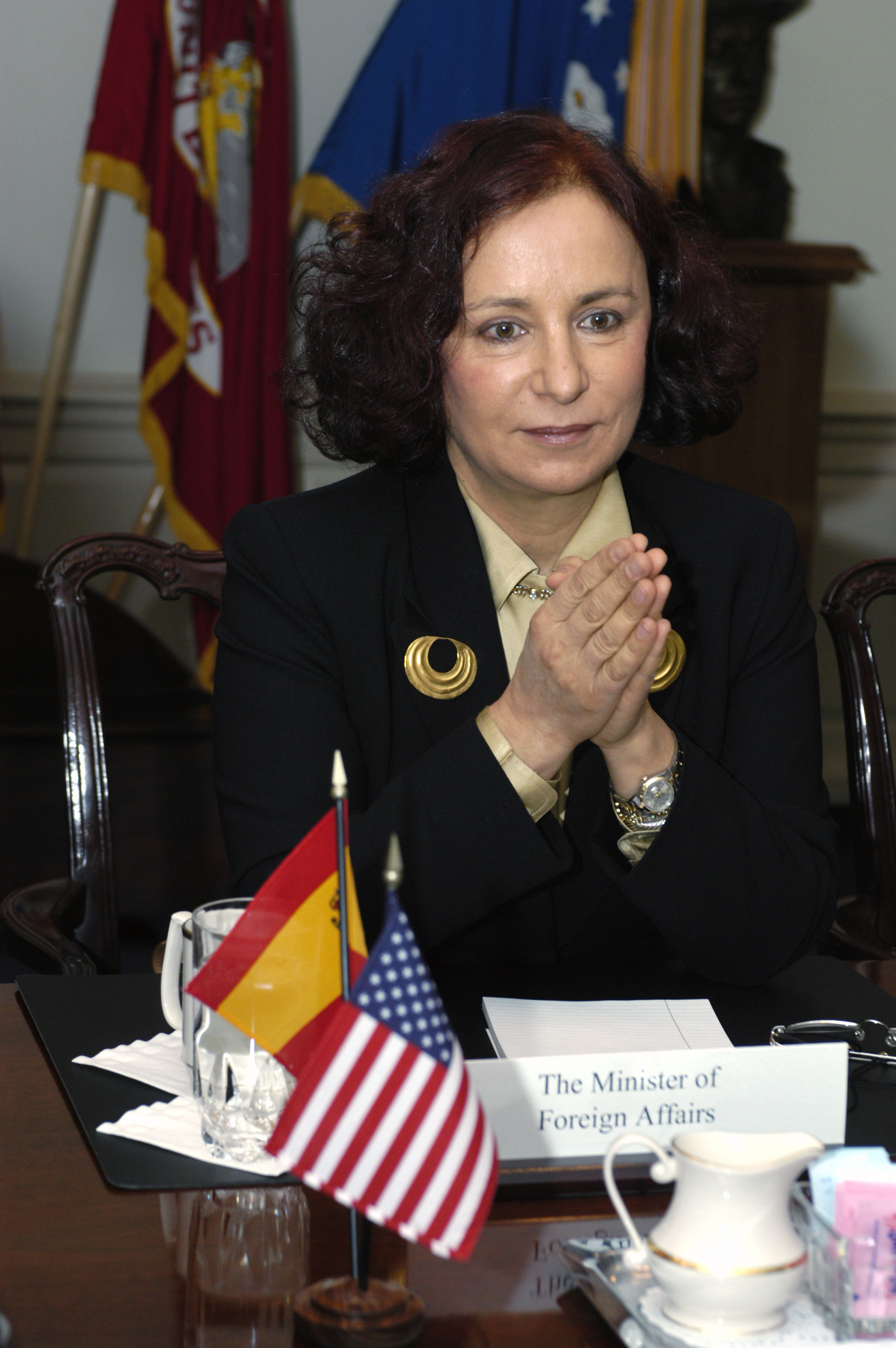 Ana Palacio Vallelersundi