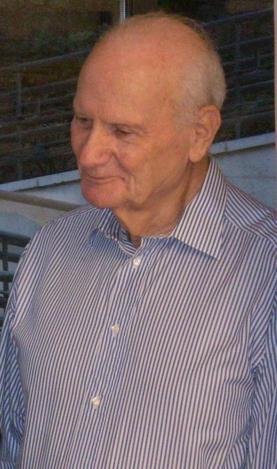 Meir Shamgar