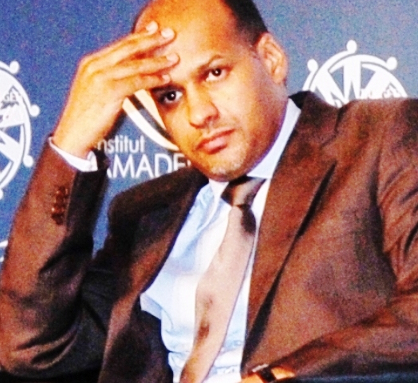 Mohamed Mahmoud Ould Mohamedou