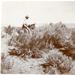Vernon Bailey