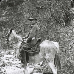 Henry Chandler Cowles - mentor of Frank Egler