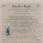 Sandor Rado