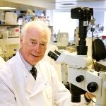 Martin J. Evans