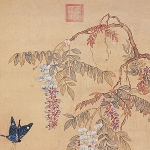 Xu Xi