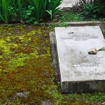 Eugenia Mravina