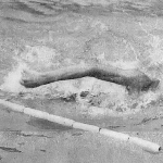 Yukiyoshi Aoki