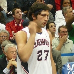 Sasa Pachulia