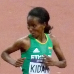 Werknesh Kidane